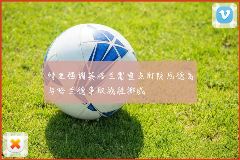 特里强调英格兰需重点盯防厄德高与哈兰德争取战胜挪威