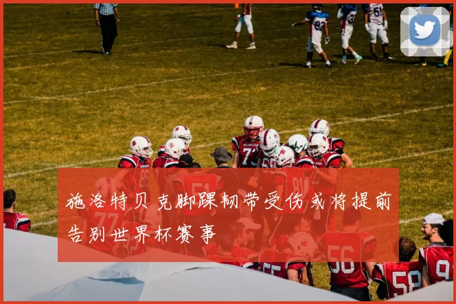 施洛特贝克脚踝韧带受伤或将提前告别世界杯赛事